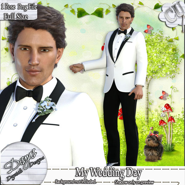 MY WEDDING DAY POSER TUBE PACK CU - Click Image to Close